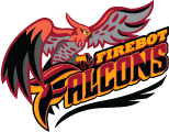 Firebot Falcons logo