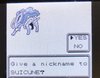 suicune_.jpg