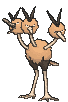 :xy/dodrio: