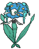 :sv/florges-blue: