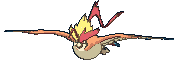 :sv/pidgeot-mega: