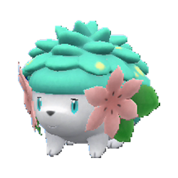 Shaymin :D  Smogon Forums