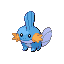 3_mudkip.png