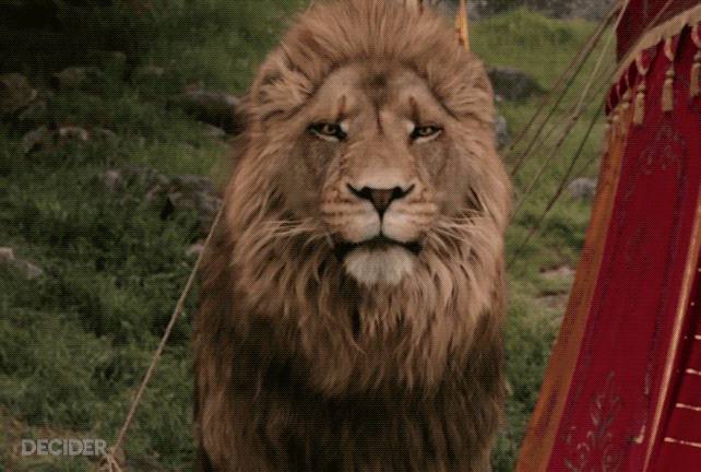 aslan-4-1.gif