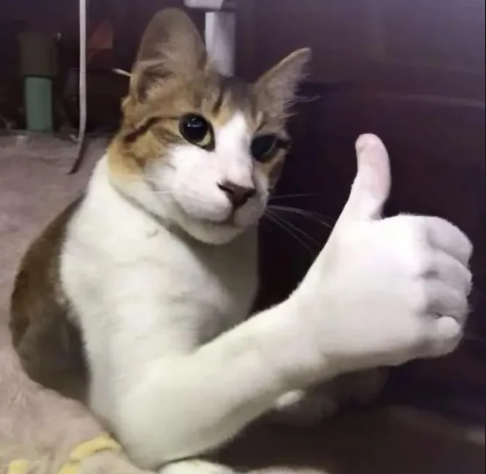 cat_thumb.png