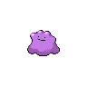 ditto.png