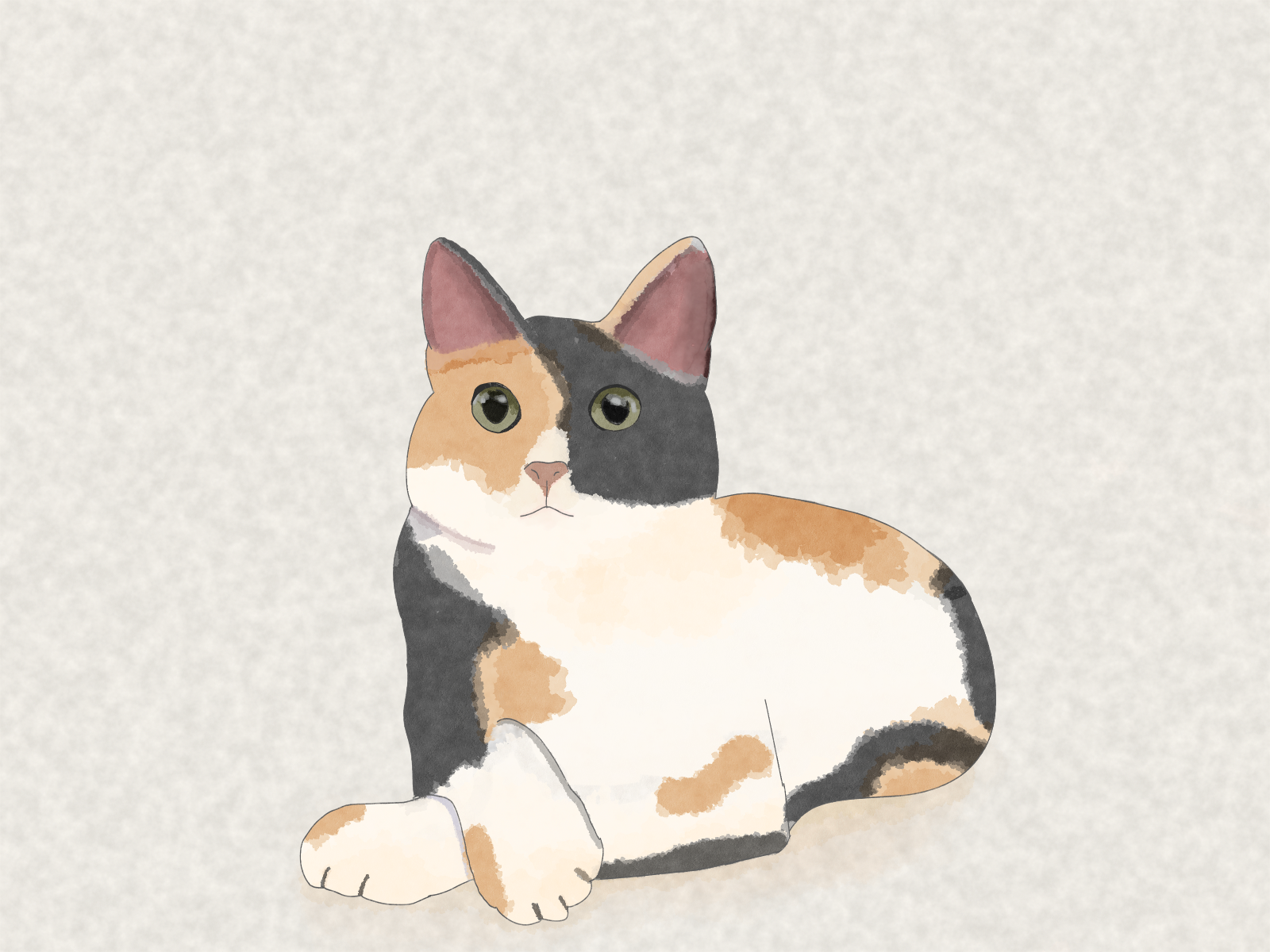 kitty.png