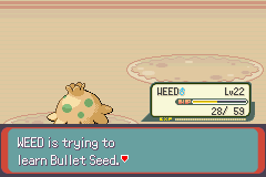 Pokemon Blazed Glazed_121.png