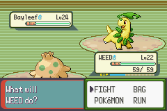 Pokemon Blazed Glazed_128.png