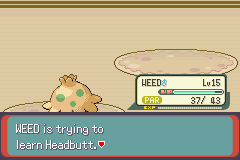 Pokemon Blazed Glazed_243.png