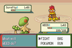 Pokemon Blazed Glazed_300.png