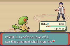 Pokemon Blazed Glazed_308.png