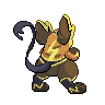 raichu-back.png