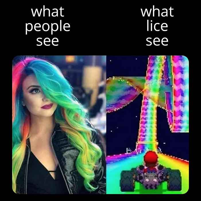 rainbow road.jpg