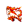 rapidash.png