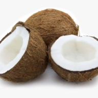 Coconut | 椰果