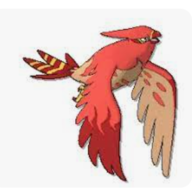 #1 Talonflame Enjoyer