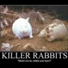 Killerbunny