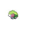 Fluffy Shaymin